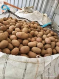 Sprzedam czerwone ziemniaki import , FITO , 50+ , big bag lub worek 