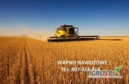 WAPNO WĘGLANOWE Z MAGNEZEM Z KOPALNI LAFARGE RADKOWICE 
