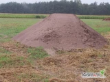 Poszukuje, najlepiej na powrocię   transportu wapna nawozowego z Kopalni Kieleckiej Wszachów  do Powiatu Węgrów kod 07-106 . Miedzna...