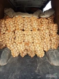 Witam mam do sprzedania ziemniaki jadalne soraya grube czyste z jasnej ziemi z transportem do klienta.