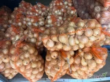 Sprzedam cebulę 750 kilo cena do uzgodnienia pod numerem tel 