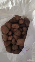 Witam posiadam na sprzedaż ziemniaki czerwone odmiany Red Sonia ładny duży. Wiecej inf pod nr tel