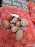 Sprzedam ziemniaki czerwone bellarosa 45+ . Worek szyty 10kg. Ilości tirowe. Zdjęcia poniżej.