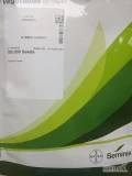 CARIBOU(j.100 000n) nasiona marchwi firmy SEMINIS oferuje GEPWEG dystrybutor nasion. Dostawa gratis.Płatność przy odbiorze. Zapraszamy do...