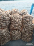 Ukopie na zamówienie ziemniaki jadalne Quenn Anna, towar z jasnej ziemi. Więcej informacji pod nr tel 697631392