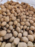 We would like to sell potatoes from Lithuania: 
