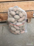 Sprzedam ziemniaki Oberon z jasnej ziemi pakowane w worki 15kg, ładne czyste kaliber 45+ Szykuje 500 worków jednorazowo 

