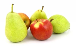 GUS szacuje zbiory owoców niższe o 24%