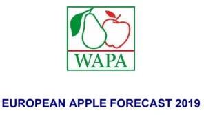 Wiemy już, ile mniej jabłek będzie w Europie ze zbiorów 2019