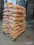 Sprzedam ziemniaki odmiana GALA , TAJFUN ,LILY ,ANNA QUEEN,  kaliber 4-8 bez choroby i parcha . Zapakuje BIGBAG luzem lub worki szyte...