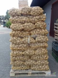 Witam sprzedam ziemniaki Soraya kaliber od 4.5. Towar na paletach.