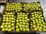 Sprzedam jabłka Golden, Jonaprince. Ilości tirowe. Tel: 513665919.