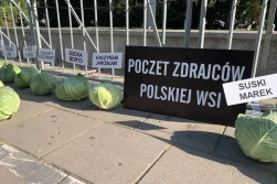 Co symbolizuje 356 główek kapusty pod Sejmem?