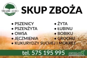 Kupię pszenicę paszową z odbiorem lub dostawą Radom wymagane ilości min 25t zapewniam transport w całej Polsce cena ustalana...