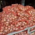 Sprzedam cebule zimowa suchą łuska 40-55 z spakowana w worki 10 kg dostępne 5 ton cena 50 groszy