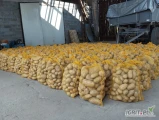 Sprzedam ziemniaki żółte gruby ładny towar 
