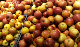 Analitycy: wyższe zapasy jabłek w Polsce