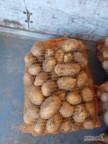 Ukopie ziemniaków soraya ładny towar. Worki 15kg