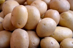 Duże różnice w cenie ziemniaków na targowiskach