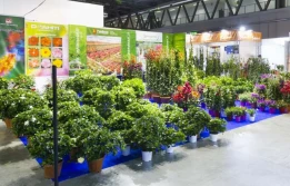 Koronawirus: Włosi przekładają targi MyPlant & Garden