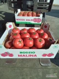 Sprzedam pomidory odmian Tomimaru Mucho i Hakumaru