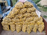 Witam, do sprzedania ziemniaki odmiany Lord, Ranomi i Belaroza w workach po 15kg 
