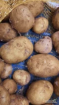Sprzedam ziemniaki w workach 15 kg odmiana vineta ladny zdrowy ziemniak zapraszam