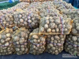 Sprzedam ziemniaki bardzo ładne bez parcha i chorób możliwość dowozu