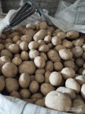Sprzedamy ziemniaki GALA 45+ sortowane po inspekcji towar marketowy. 
