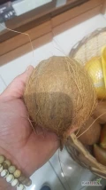 Sprzedam duże ilości kokosa z Ghany, minimalne zamówienie 2 kontener
