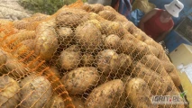 Sprzedam ziemniaki queen anna gruby towar worki 15