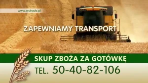 Skup zboża WS Trade