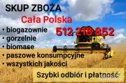 Skup zboża gorszej jakości na gorzelnię i paszowe każdej jakości wilgotne zanieczyszczone robak śnieć  po robaku na gorzelnie biogaz...