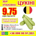 БЕЛЬГІЯ  --  Збір упаковка цукіні  - Веземо на роботу 
