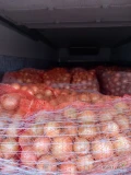 Kupie cebule żółta kaliber 50+ pakowana w worki po 15kg odbieram własnym transportem płatność gotówką 