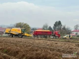 Firma RESTAL prowadzi skup zbóż, takich jak: -pszenica -pszenżyto -jęczmień -żyto -kukurydza -słonecznik Postaramy się dostosować...