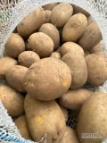 I will sell potatoes with phyto/plant passport for export to EU and non-EU countries. Very good quality and prices. We invite you to...