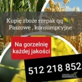 Skup zboża na gorzelnię i paszowe każdej jakości wilgotne zanieczyszczone robak śnieć  po robaku na gorzelnie biogaz  kupimy każdy...