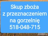 Skup zboża paszowego zanieczyszczone wilgotne niepełnowartościowe z zapachem z robakiem. Odbiór z gospodarstwa. Płatne w dniu...