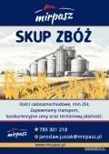 Firma MIRPASZ zakupi pszenicę oraz inne zboża. Min 25t, zapewniamy transport oraz konkurencyjne ceny.Zapraszamy, tel 789 301 218  