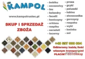 Kupię : Jęczmień, Pszenica, Słonecznik, Proso, Len, Soję, Konopie, Grykę, Groch, Peluszkę, Łubin, Kminek, Kolendrę, Ostropest,...