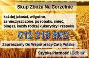 Skup Zbóż Pszenica, Rzepak, Kukurydza, Kontraktacje, TRANSPORT
