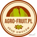 Kupię śliwkę przemysłową - dostawa do gminy Promna 26-803. Gotówka lub przelew. Śliwka bez zgniłych, bez pleśni. 