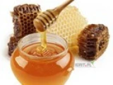 PROPOLIS  / kit pszczeli / duze ilosci hurtowe kupie
