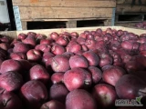 Sprzedam Red Delicious około 30 ton oraz rubinstara za wagę w skrzyni 