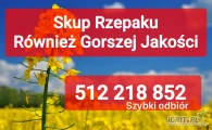 Kupię rzepak również zanieczyszczony gorszej jakosci szybki odbiór i płatność po załadunku 
