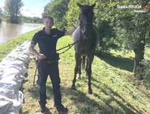 Policjanci uratowali konia z rwącej rzeki