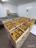 Sprzedam świeżą kurkę pakowaną w łubianki 1 kg. - ilości hurtowe. Możliwość spakowania wedle potrzeb klienta. 