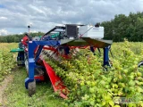 Kombajn OSKAR A01 jest najnowszą wersją kombajnu całorzędowego zaczepianego do ciągnika zaprojektowanego do zbioru owoców jagodowych...