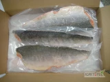 Pink Salmon Fillet, Skin-On (Oncorhynchus gorbuscha), IQF
